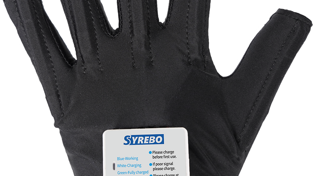 HENRY - Additional Data Glove